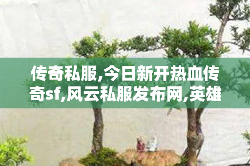 传奇私服,今日新开热血传奇sf,风云私服发布网,英雄合击私服,风云私服发布网