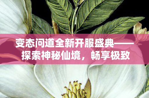 变态问道全新开服盛典—— 探索神秘仙境，畅享极致游戏体验