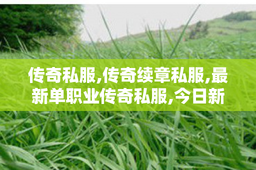 传奇私服,传奇续章私服,最新单职业传奇私服,今日新开传世sf网站,最新单职业传奇私服