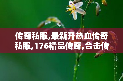 传奇私服,最新开热血传奇私服,176精品传奇,合击传奇新开,176精品传奇