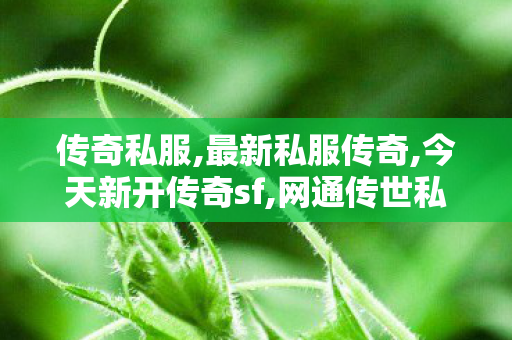 传奇私服,最新私服传奇,今天新开传奇sf,网通传世私服发布网,今天新开传奇sf