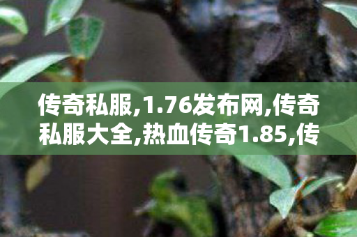 传奇私服,1.76发布网,传奇私服大全,热血传奇1.85,传奇私服大全