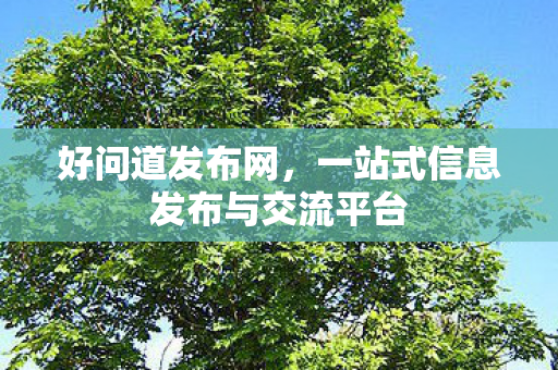好问道发布网，一站式信息发布与交流平台