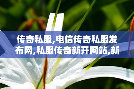 传奇私服,电信传奇私服发布网,私服传奇新开网站,新开的传奇世界私服,私服传奇新开网站