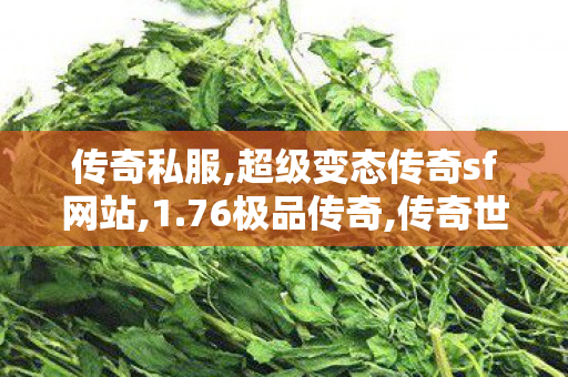 传奇私服,超级变态传奇sf网站,1.76极品传奇,传奇世界sf发布网新服,1.76极品传奇