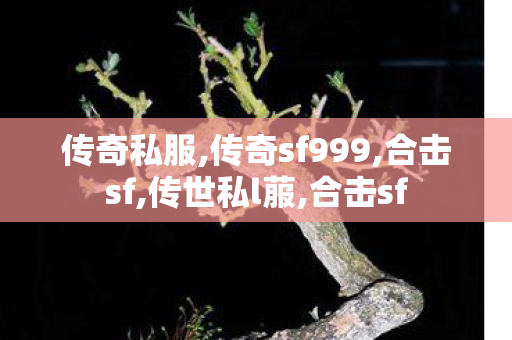 传奇私服,传奇sf999,合击sf,传世私l菔,合击sf