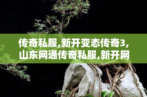 传奇私服,新开变态传奇3,山东网通传奇私服,新开网通传世私服,山东网通传奇私服