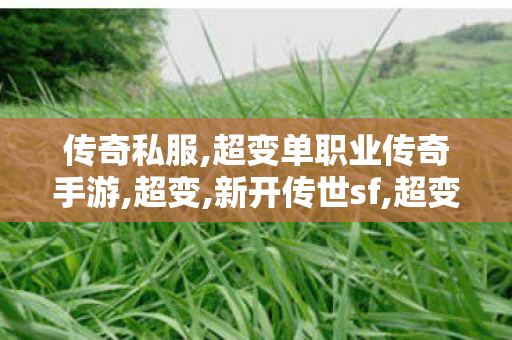 传奇私服,超变单职业传奇手游,超变,新开传世sf,超变