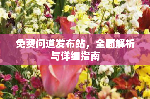 免费问道发布站，全面解析与详细指南