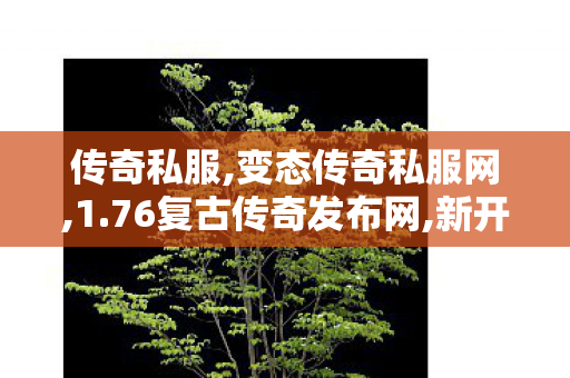 传奇私服,变态传奇私服网,1.76复古传奇发布网,新开传奇私服发布网站,1.76复古传奇发布网