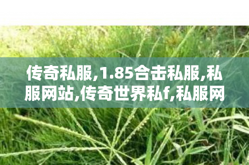 传奇私服,1.85合击私服,私服网站,传奇世界私f,私服网站