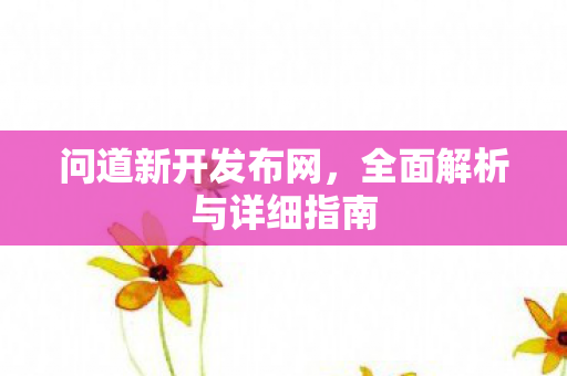 问道新开发布网，全面解析与详细指南