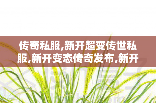 传奇私服,新开超变传世私服,新开变态传奇发布,新开的传奇世界私服,新开变态传奇发布