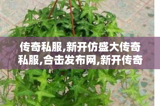 传奇私服,新开仿盛大传奇私服,合击发布网,新开传奇世界网站刚开一秒,合击发布网