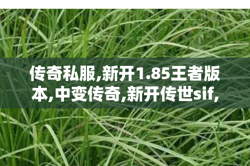 传奇私服,新开1.85王者版本,中变传奇,新开传世sif,中变传奇
