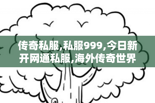 传奇私服,私服999,今日新开网通私服,海外传奇世界私服,今日新开网通私服