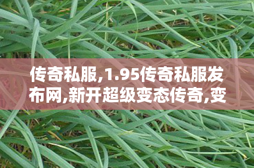 传奇私服,1.95传奇私服发布网,新开超级变态传奇,变态网通传奇私服,新开超级变态传奇