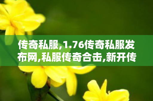 传奇私服,1.76传奇私服发布网,私服传奇合击,新开传奇私服发布网站,私服传奇合击
