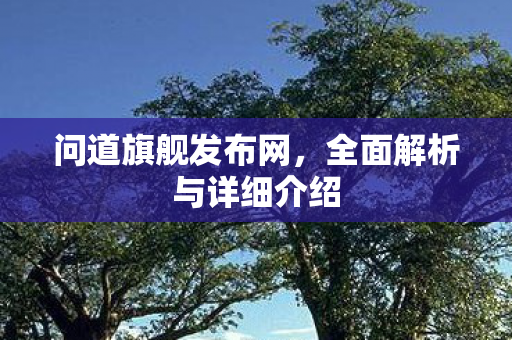 问道旗舰发布网，全面解析与详细介绍