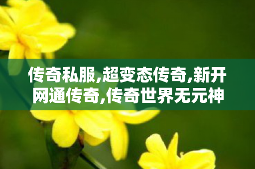 传奇私服,超变态传奇,新开网通传奇,传奇世界无元神区,新开网通传奇