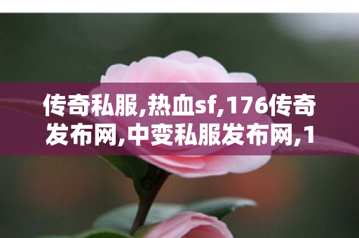 传奇私服,热血sf,176传奇发布网,中变私服发布网,176传奇发布网