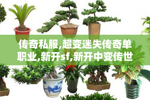 传奇私服,超变迷失传奇单职业,新开sf,新开中变传世,新开sf