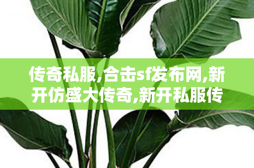 传奇私服,合击sf发布网,新开仿盛大传奇,新开私服传奇,新开仿盛大传奇