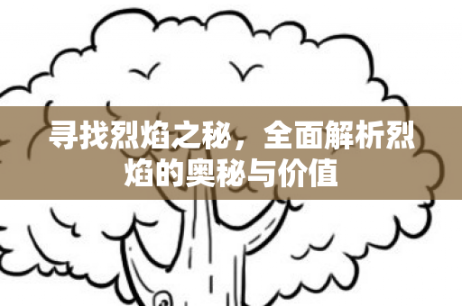 寻找烈焰之秘，全面解析烈焰的奥秘与价值