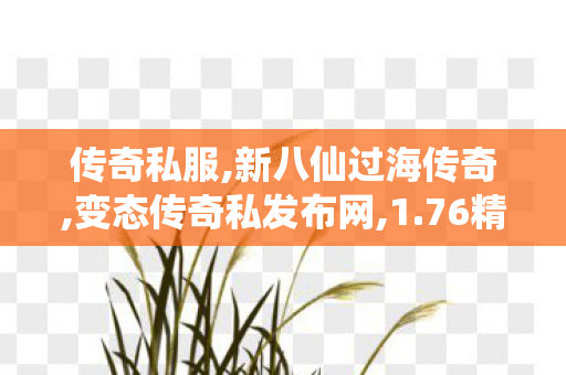 传奇私服,新八仙过海传奇,变态传奇私发布网,1.76精品版本传奇,变态传奇私发布网