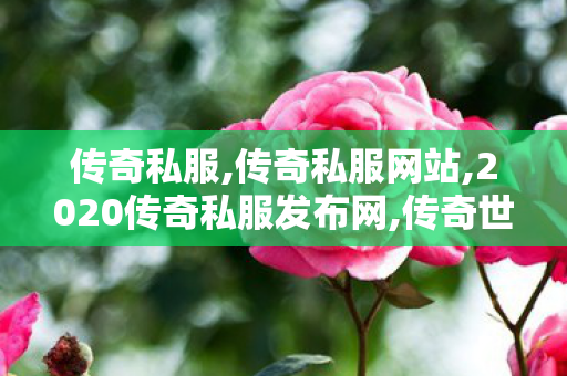 传奇私服,传奇私服网站,2020传奇私服发布网,传奇世界复古有元神,2020传奇私服发布网