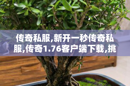 传奇私服,新开一秒传奇私服,传奇1.76客户端下载,挑战私服发布网,传奇1.76客户端下载
