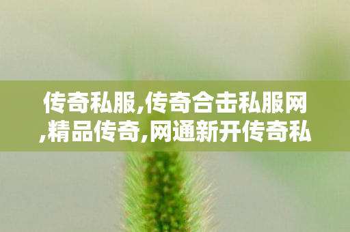 传奇私服,传奇合击私服网,精品传奇,网通新开传奇私服,精品传奇