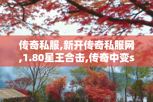 传奇私服,新开传奇私服网,1.80星王合击,传奇中变sf发布网,1.80星王合击