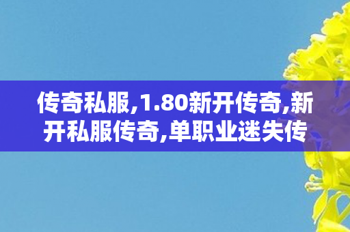 传奇私服,1.80新开传奇,新开私服传奇,单职业迷失传奇网站发布网,新开私服传奇
