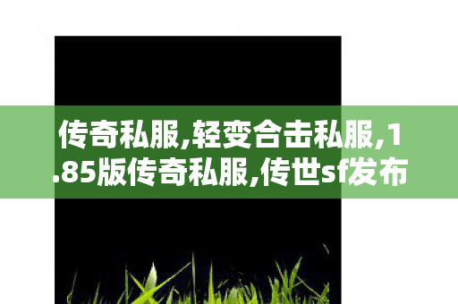 传奇私服,轻变合击私服,1.85版传奇私服,传世sf发布网,1.85版传奇私服