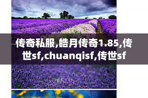 传奇私服,皓月传奇1.85,传世sf,chuanqisf,传世sf