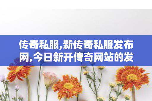 传奇私服,新传奇私服发布网,今日新开传奇网站的发布平台,传奇手游sf发布网新服,今日新开传奇网站的发布平台