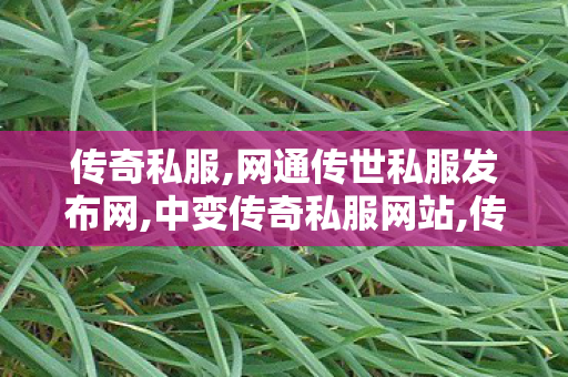 传奇私服,网通传世私服发布网,中变传奇私服网站,传世sf发布网站,中变传奇私服网站