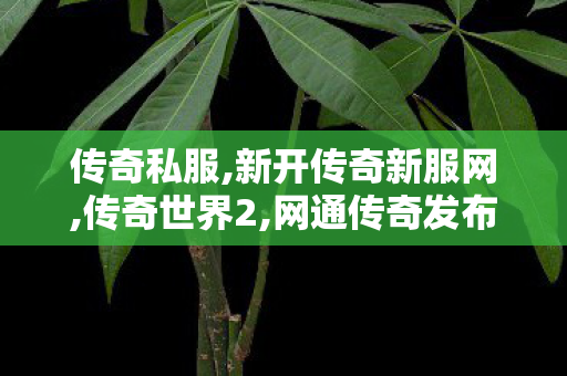 传奇私服,新开传奇新服网,传奇世界2,网通传奇发布网,传奇世界2