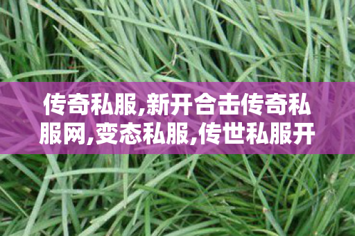 传奇私服,新开合击传奇私服网,变态私服,传世私服开服,变态私服