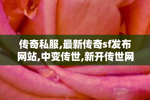 传奇私服,最新传奇sf发布网站,中变传世,新开传世网站刚开一秒,中变传世