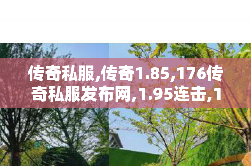 传奇私服,传奇1.85,176传奇私服发布网,1.95连击,176传奇私服发布网