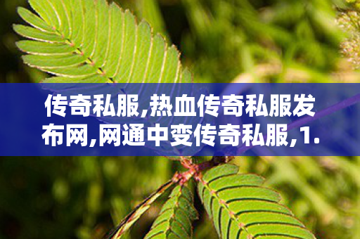 传奇私服,热血传奇私服发布网,网通中变传奇私服,1.76传奇sf发布网,网通中变传奇私服