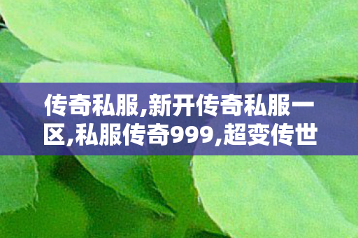 传奇私服,新开传奇私服一区,私服传奇999,超变传世sf,私服传奇999