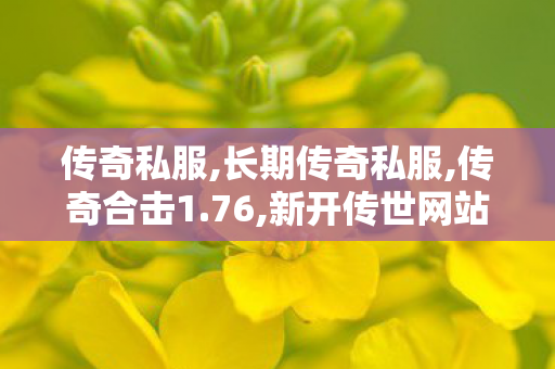 传奇私服,长期传奇私服,传奇合击1.76,新开传世网站发布网,传奇合击1.76