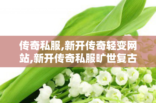 传奇私服,新开传奇轻变网站,新开传奇私服旷世复古,无内功传奇私服,新开传奇私服旷世复古