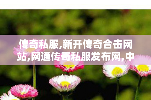 传奇私服,新开传奇合击网站,网通传奇私服发布网,中变无英雄传奇私服,网通传奇私服发布网
