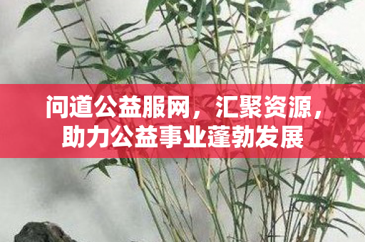 问道公益服网，汇聚资源，助力公益事业蓬勃发展