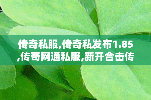 传奇私服,传奇私发布1.85,传奇网通私服,新开合击传奇,传奇网通私服