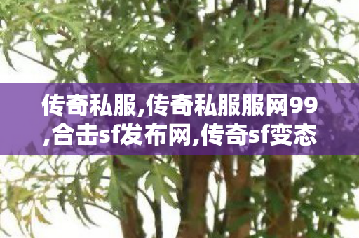 传奇私服,传奇私服服网99,合击sf发布网,传奇sf变态,合击sf发布网